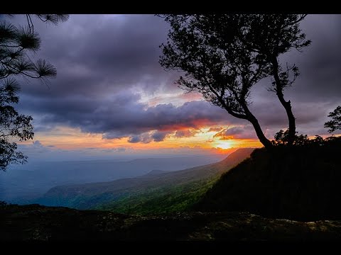  Phu Kradueng (TH) sluts