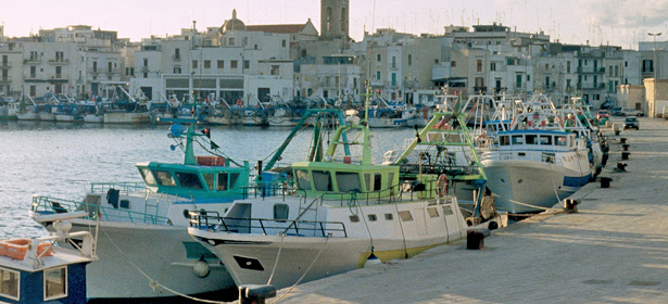  Mola di Bari, Apulia hookers